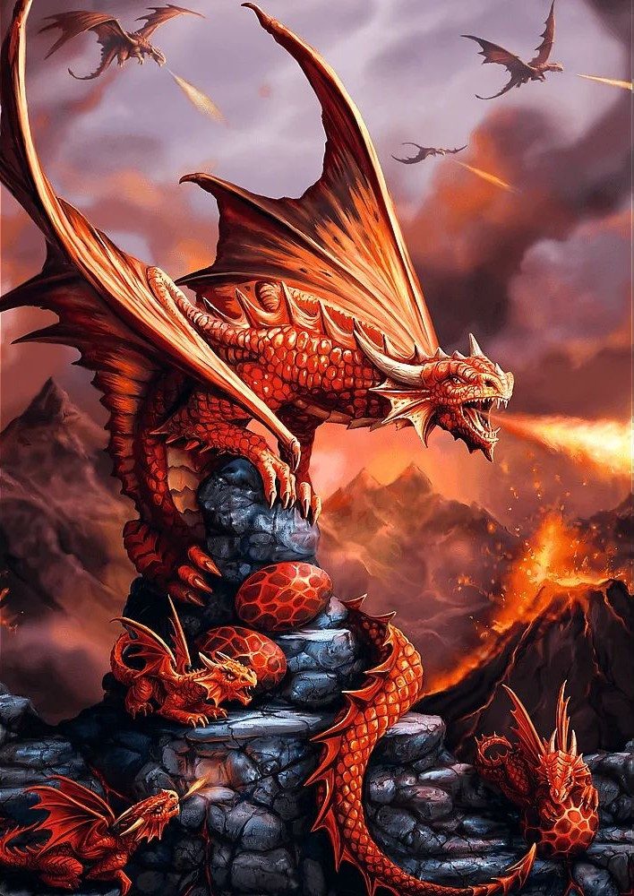 Trefl Puzzle Anne Stokes, Feuerdrachen, 1000 Teile, Premium Plus Puzzle, 10 günstig online kaufen
