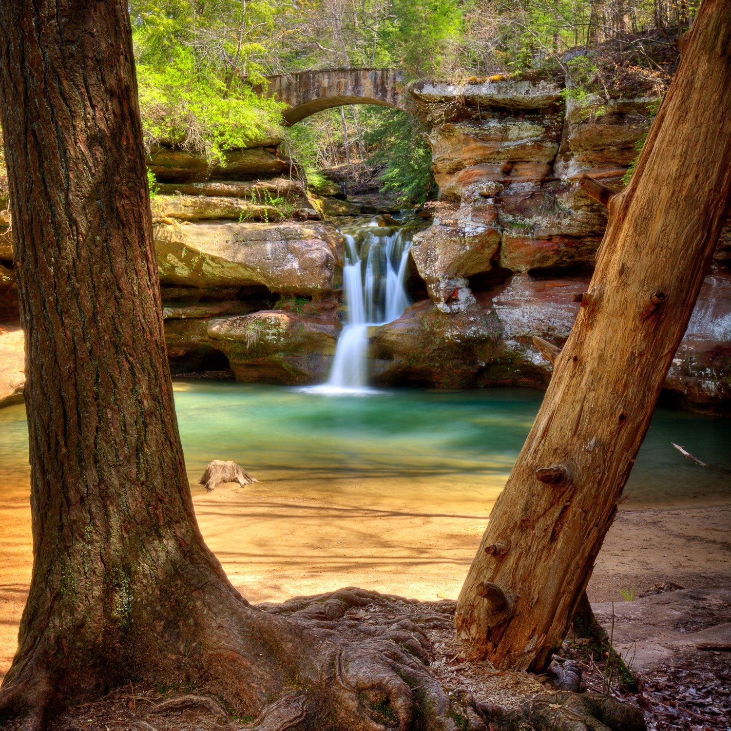 Wallario Tischplatte Versteckter Platz im Wald (1 St), für Ikea Lack Tisch geeignet