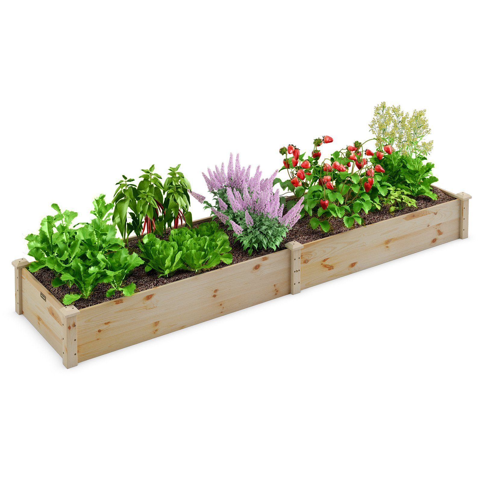 COSTWAY Hochbeet, Pflanzkasten, Gartenbeet, Blumenkasten, 240 x 60 x 25 cm