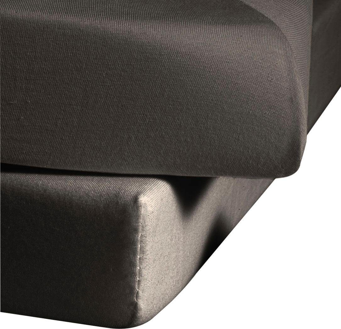 fleuresse Spannbettlaken Comfort, Jersey-Elasthan, Gummizug: rundum, günstig online kaufen