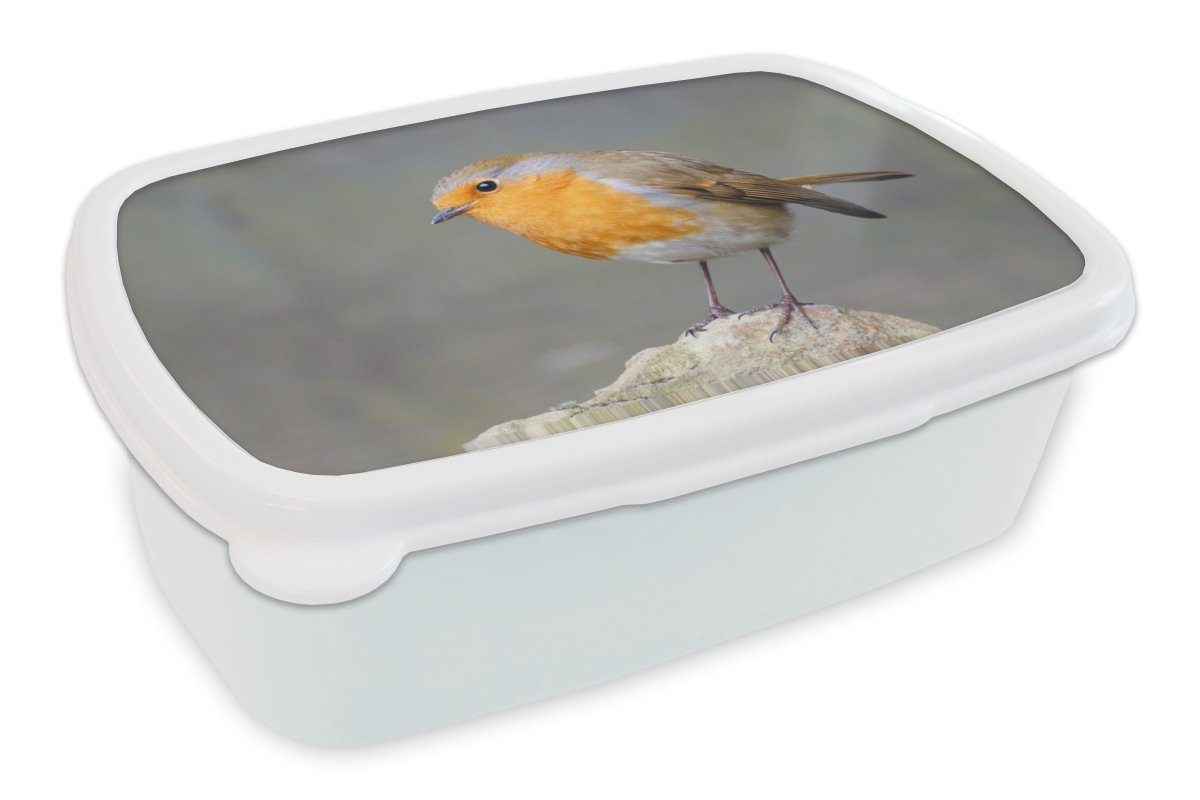 MuchoWow Lunchbox Vogel - Rotkehlchen - Felsen, Kunststoff, (2-tlg), Brotbox für Kinder und Erwachsene, Brotdose, für Jungs und Mädchen weiß