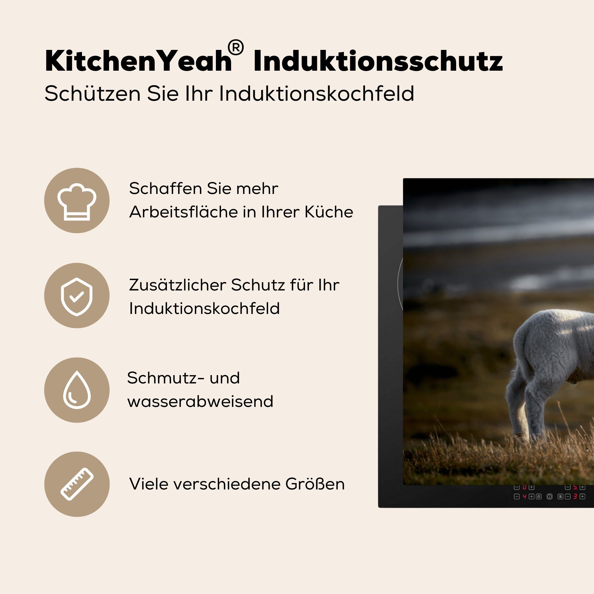 küche, Ceranfeldabdeckung Induktionskochfeld Lamm Herdblende-/Abdeckplatte 81x52 cm, Schutz Vinyl, Schaf tlg), MuchoWow die - (1 für Gras, -