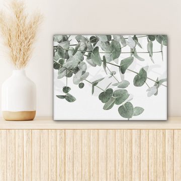 OneMillionCanvasses® Leinwandbild Eukalyptus - Blätter - Natur - Grün, Grun, Weiß (1 St), Wandbild Leinwandbilder, Aufhängefertig, Wanddeko 40x30 cm