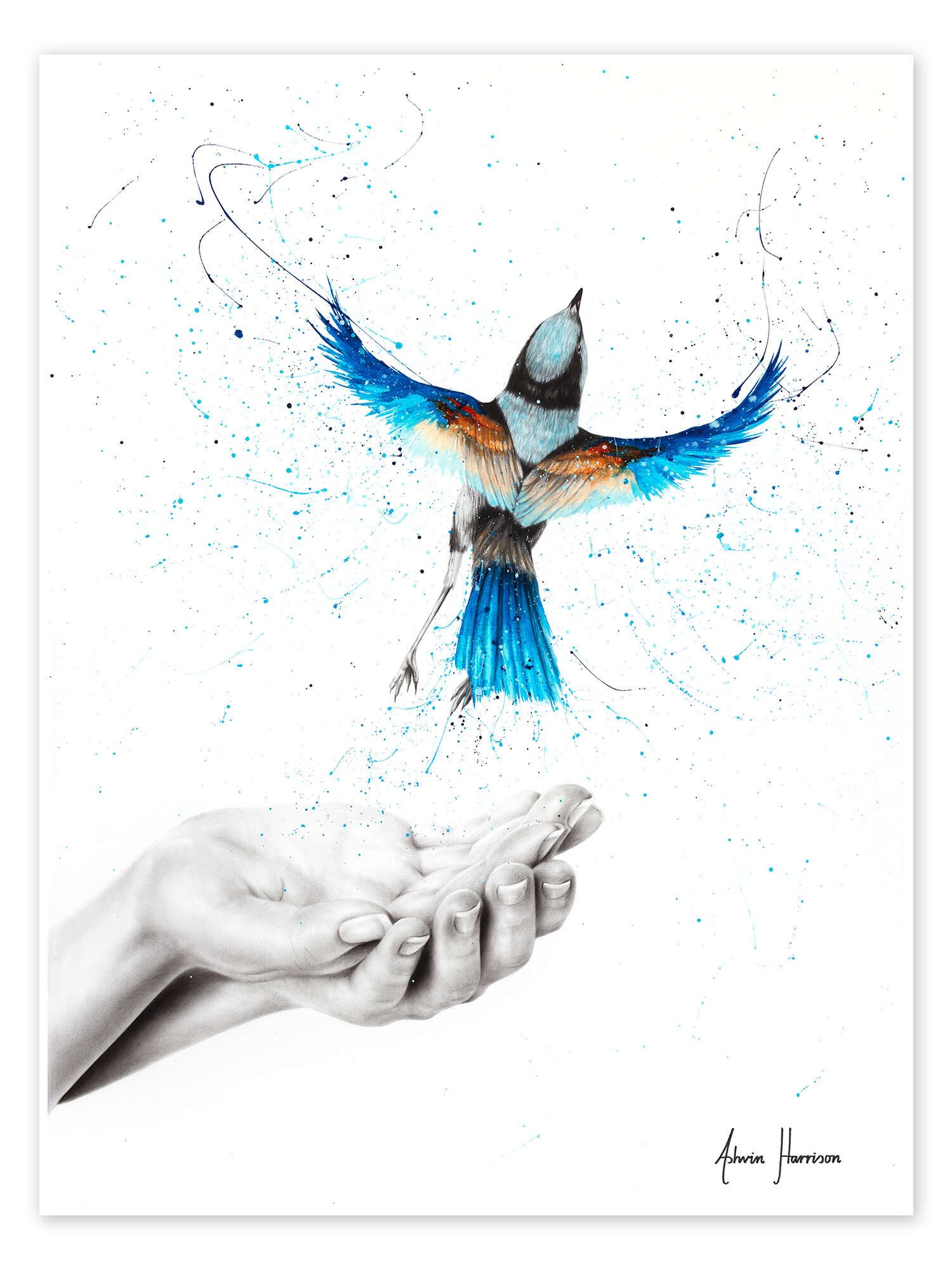 Poster Ashvin Harrison