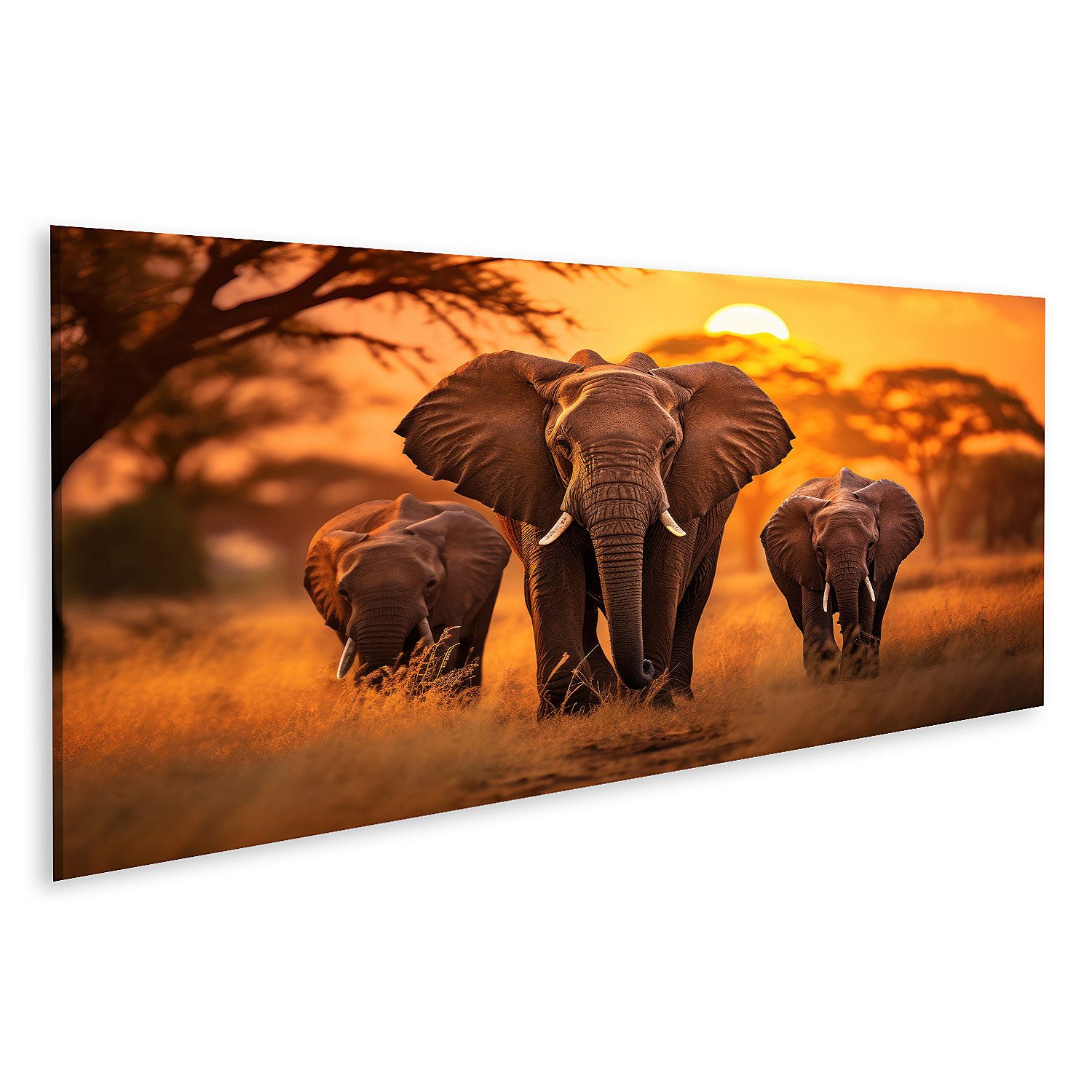 islandburner Leinwandbild Erwachsener Elefant Afrikanische Savanne günstig online kaufen