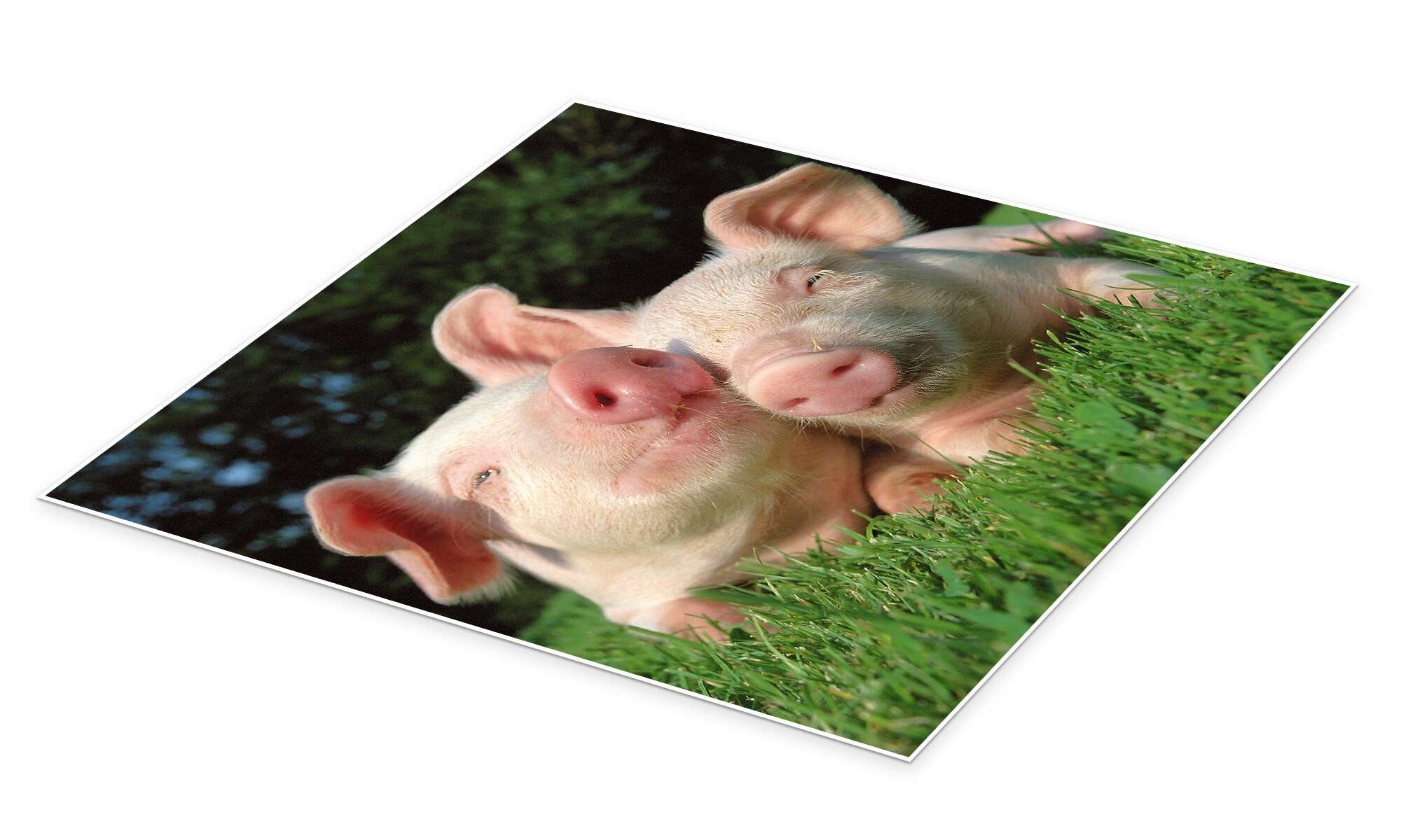 Posterlounge Poster Editors Choice, Dicke Umarmung, günstig online kaufen