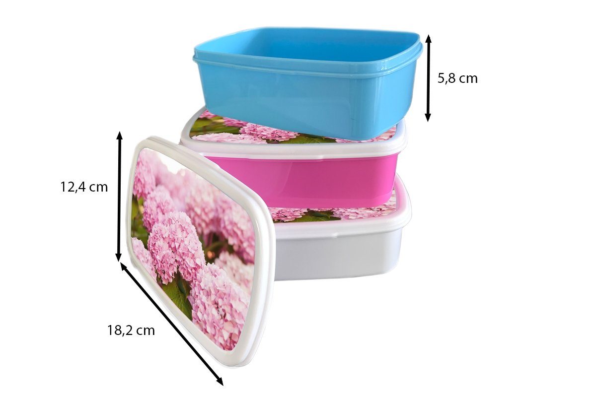 Hortensie, (2-tlg), Rosa Lunchbox MuchoWow Busch - Blumen Brotbox Brotdose für Snackbox, Mädchen, - Kunststoff Kinder, Kunststoff, Erwachsene, -