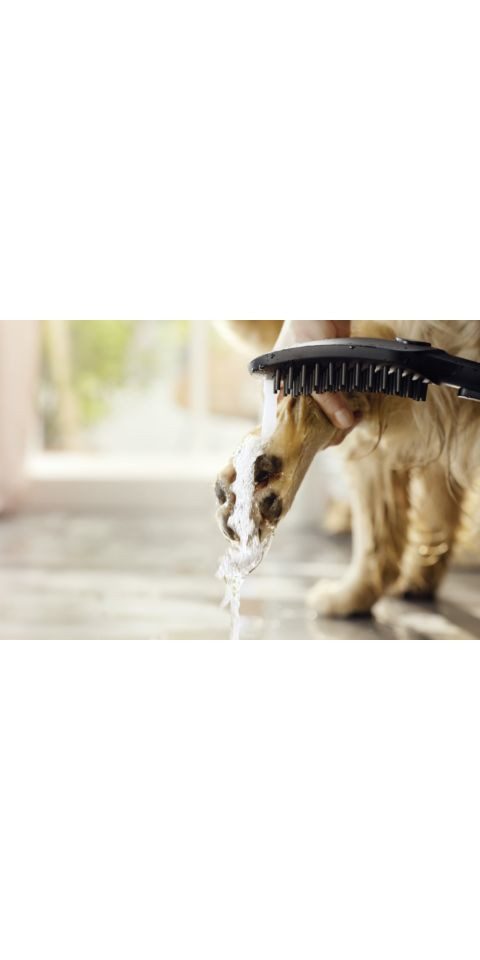 hansgrohe Handbrause