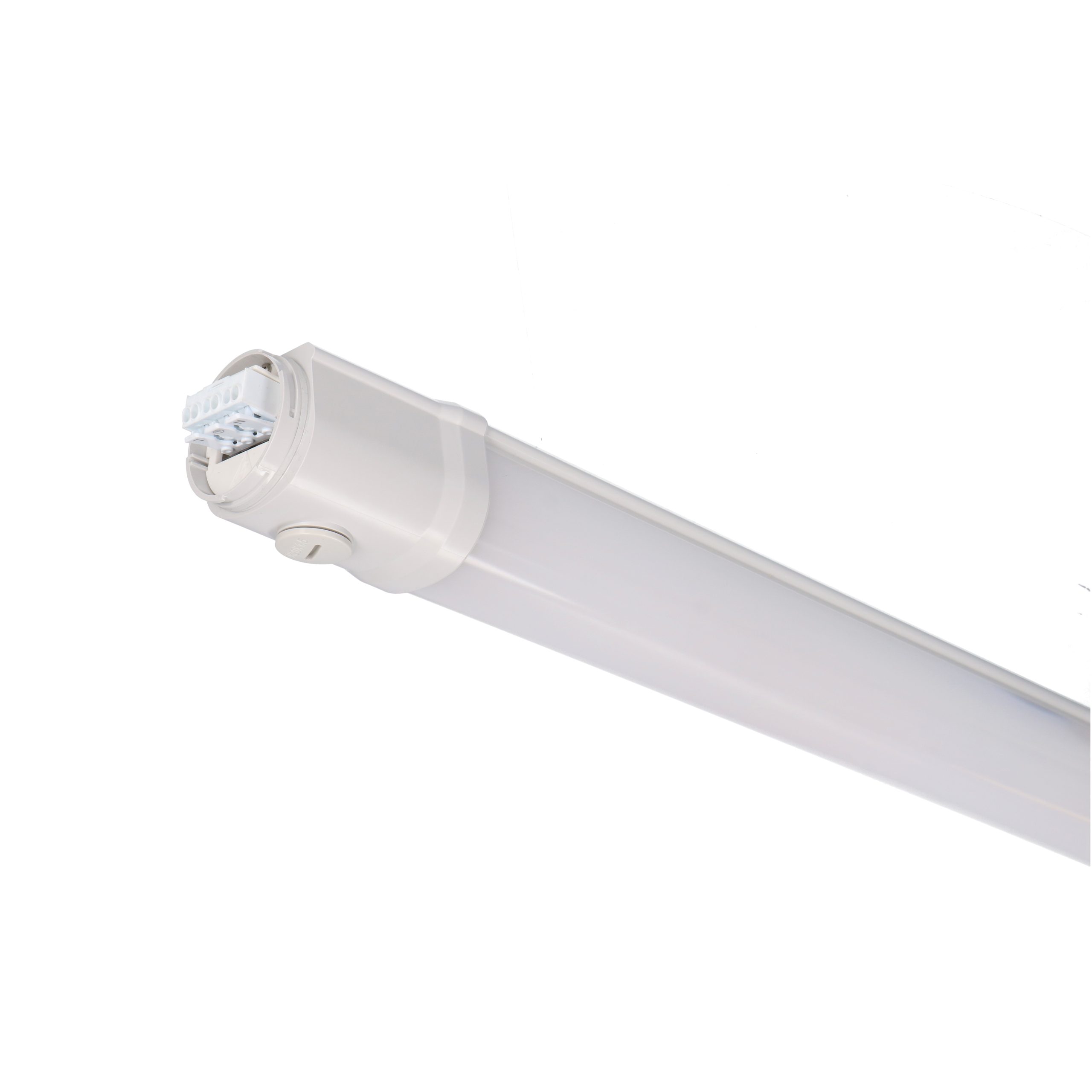 LED's modular LED, IP65 Deckenleuchte PRO light 40W neutralweiß LED 2400295 LED-Feuchtraumleuchte, 150cm durchverdrahtet