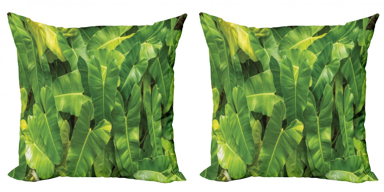 Tropic Modern Botanik Digitaldruck, Stück), Kissenbezüge Doppelseitiger Foto Abakuhaus Accent Philodendron (2 von