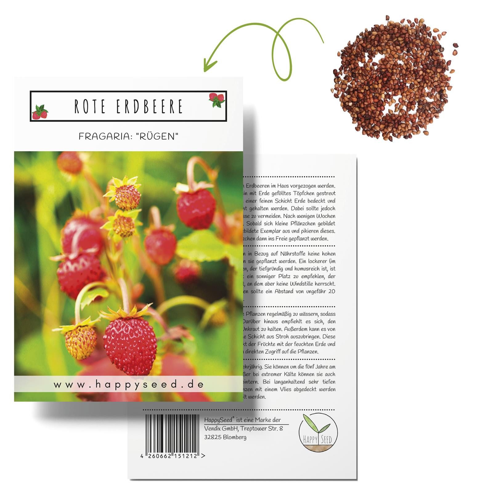 HappySeed Blumensamen Erdbeeren Samen - Fragaria, günstig online kaufen