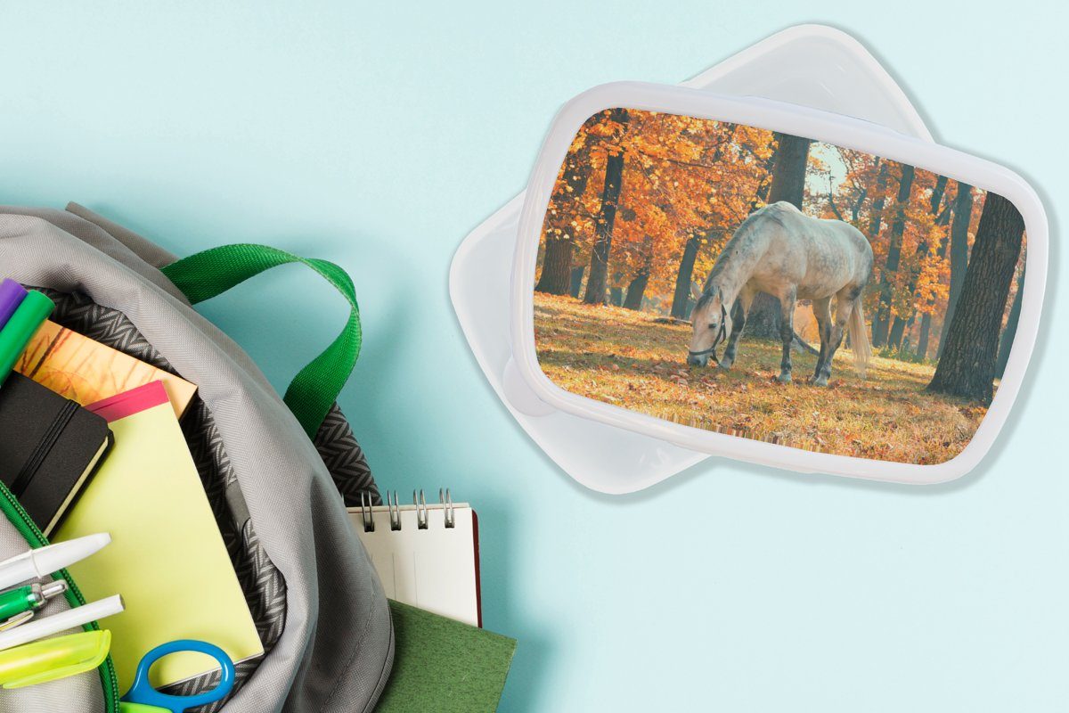 MuchoWow Lunchbox Pferd - Herbst (2-tlg), Jungs und - weiß für Wald, und für Brotbox Kunststoff, Brotdose, Mädchen Erwachsene, Kinder