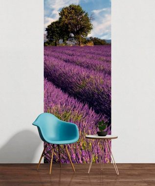 living walls Fototapete Lavendelfeld in der Provence, glatt, (1 St), Vlies, Wand, Schräge
