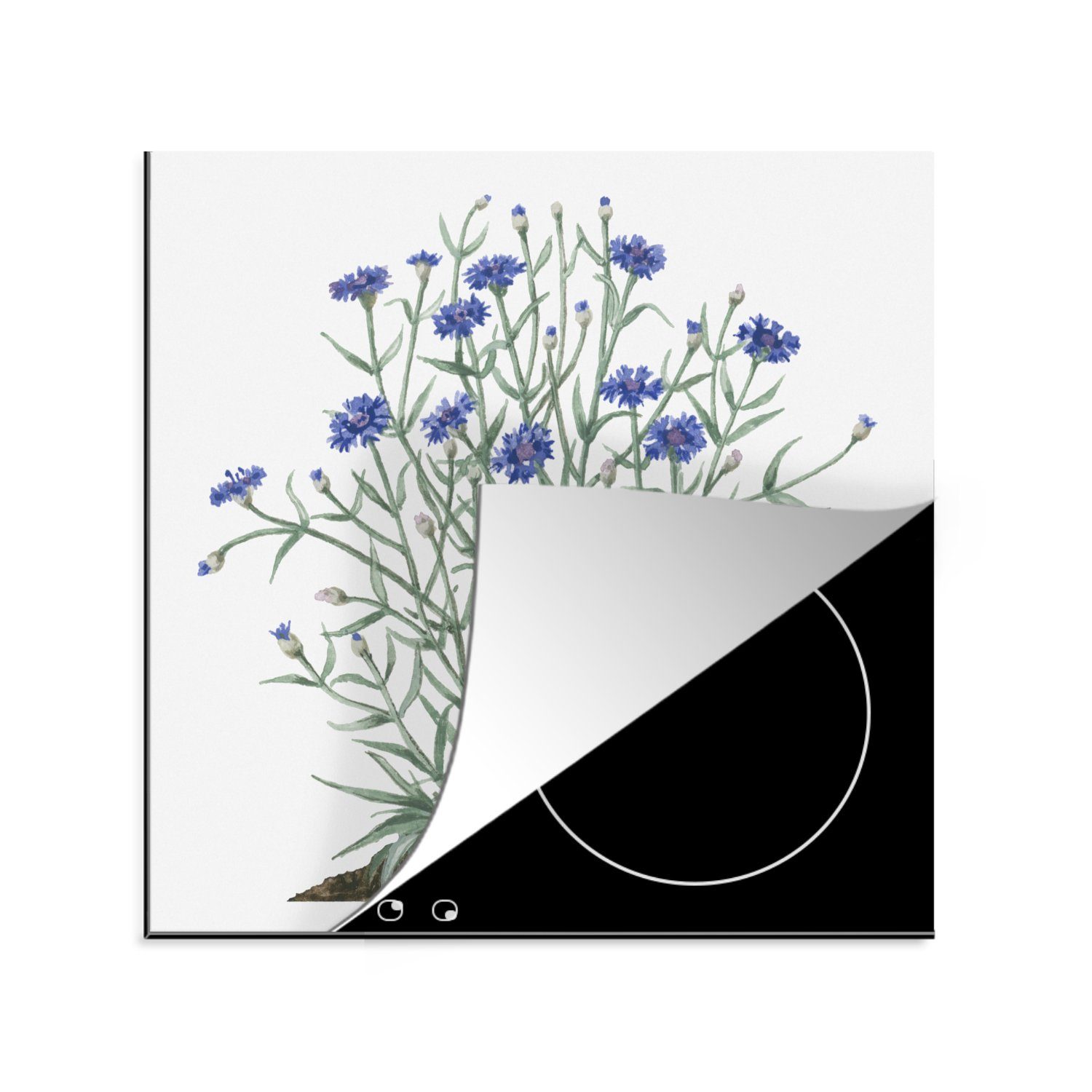MuchoWow Herdblende-/Abdeckplatte Eine Illustration von Kornblumen im Boden, Vinyl, (1 tlg), 78x78 cm, Ceranfeldabdeckung, Arbeitsplatte für küche