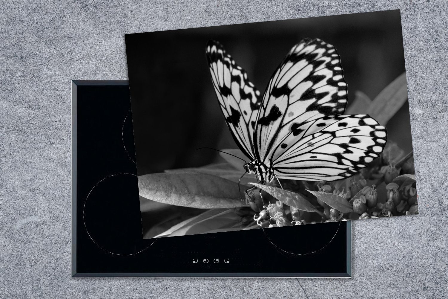 weiß, und Schmetterling Flügeln tlg), Ceranfeldabdeckung mit nutzbar, Vinyl, Herdblende-/Abdeckplatte MuchoWow oben 70x52 Mobile Idea (1 Arbeitsfläche leuconoe cm, schwarz -