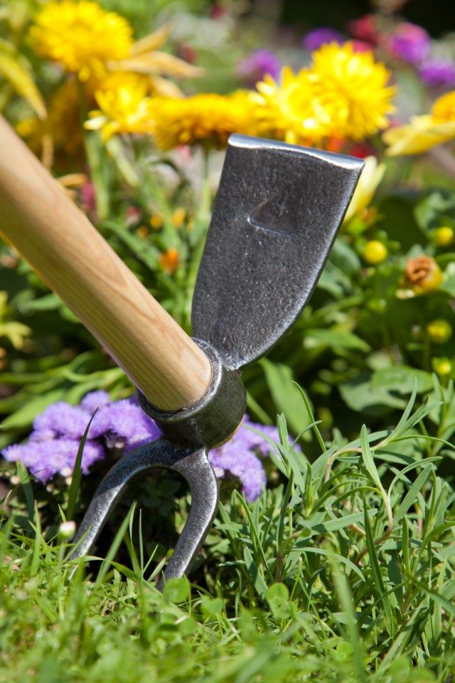 Krumpholz Gartenpflege-Set Krumpholz Gartenhäckchen (geschmiedet), 2 Zinken und 40 cm Eschenstiel