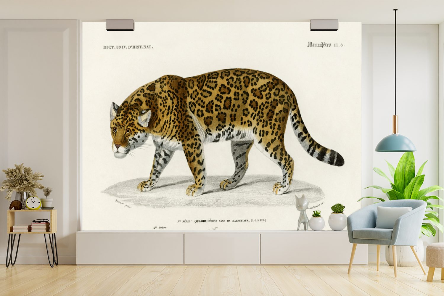 Wallpaper Jahrgang Jaguar Tier, - Kinderzimmer, Vinyl (6 Schlafzimmer, Tapete - bedruckt, St), Fototapete für Matt, MuchoWow Wohnzimmer,
