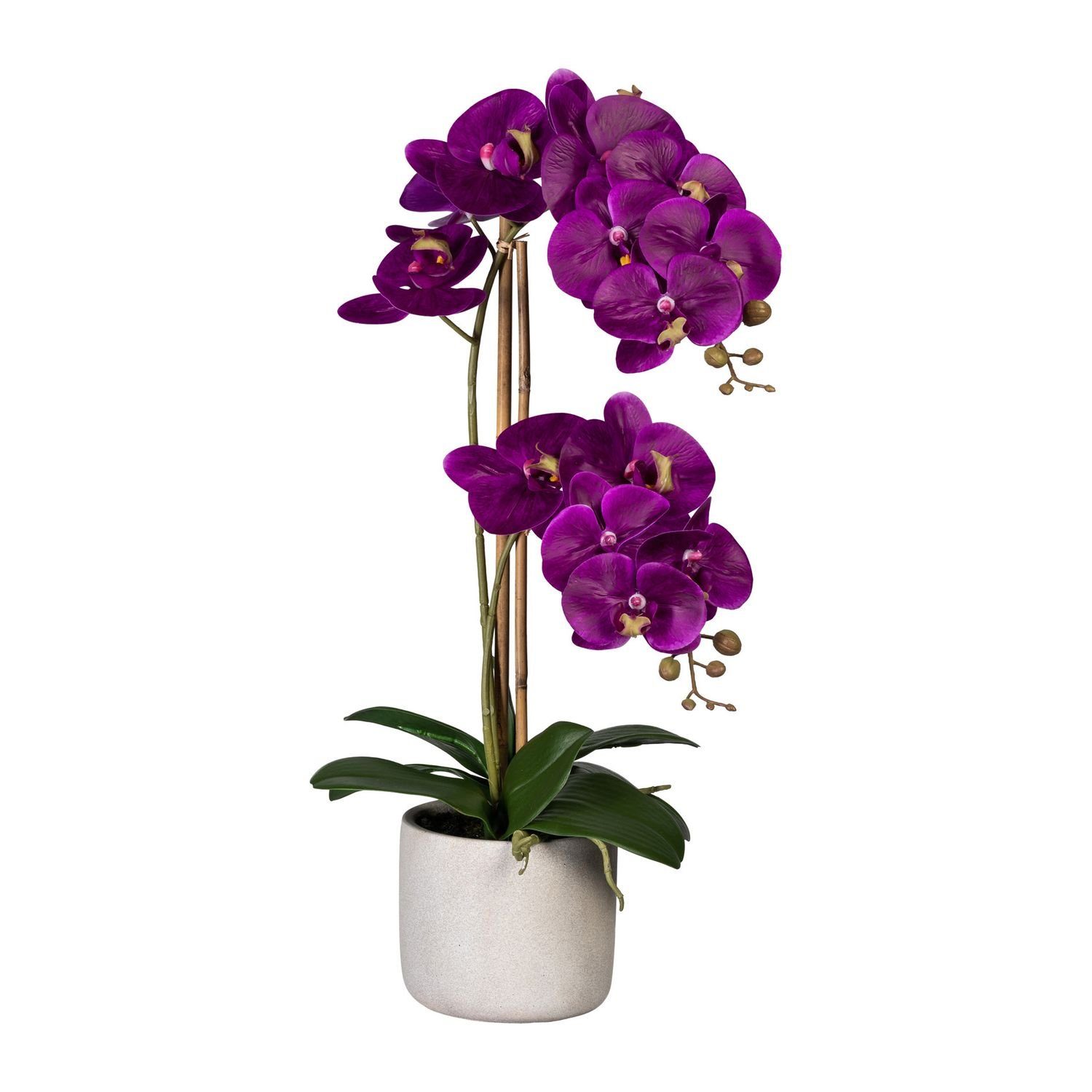 Kunstpflanze Künstliche Orchidee 60cm im Zementtopf in versch. Farben, Fuchs Versand 24/7