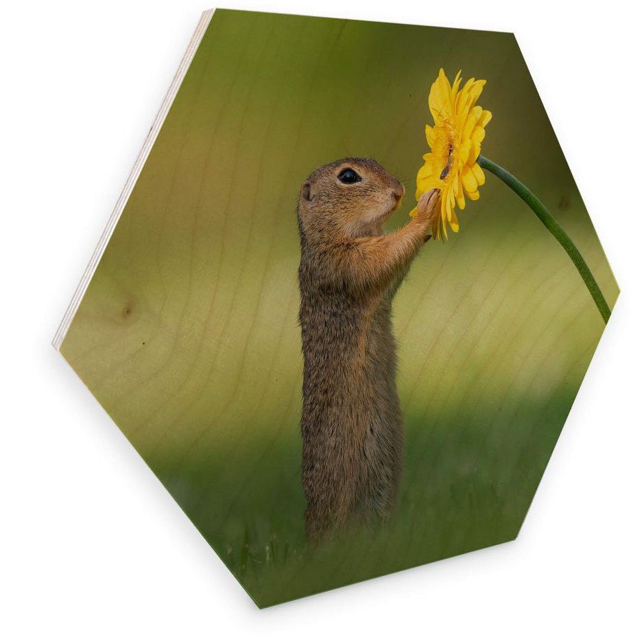 Wall-Art Holzbild Eichhörnchen Holzbild Blumen, (1 St) | Bilder