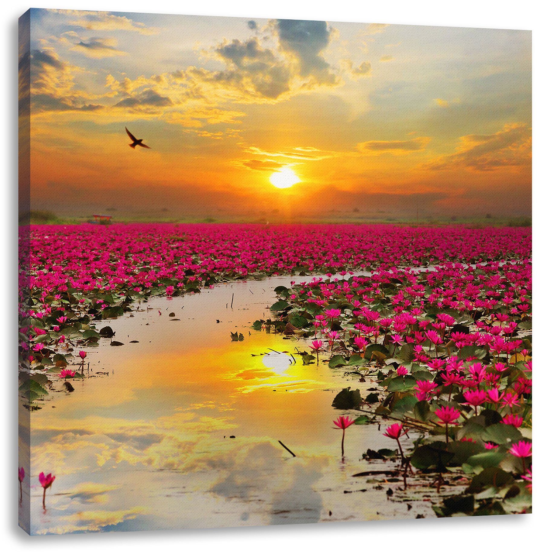 Pixxprint Leinwandbild Lotusblüten am See, Lotusblüten am See (1 St), Leinwandbild fertig bespannt, inkl. Zackenaufhänger