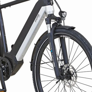 Prophete E-Bike »Entdecker InsideTwo«, 10 Gang Shimano Deore Schaltwerk, Kettenschaltung, Mittelmotor 250 W