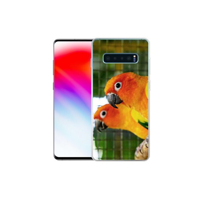MuchoWow Handyhülle Nahaufnahme eines Paares von Sonnensittichen Phone Case Handyhülle Samsung Galaxy S10+ Silikon Schutzhülle FN11510