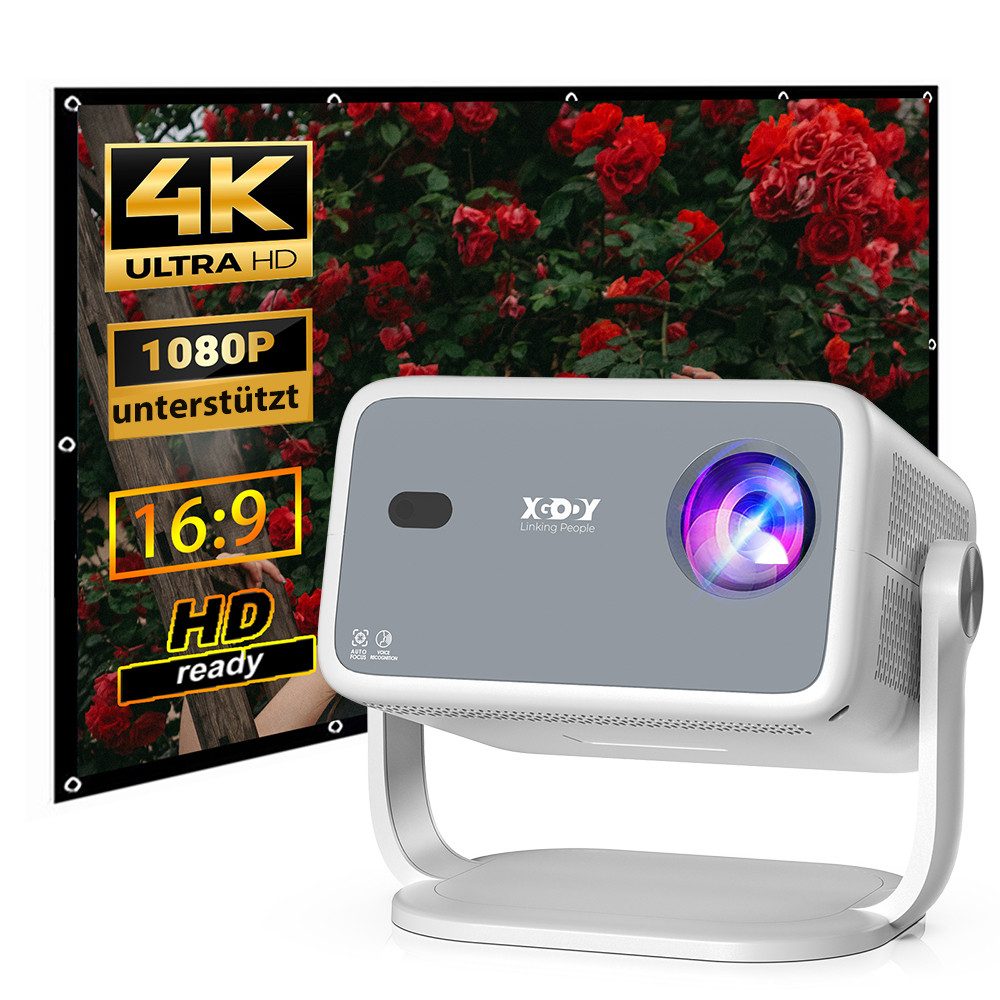 Netflix Official UHD-Beamer