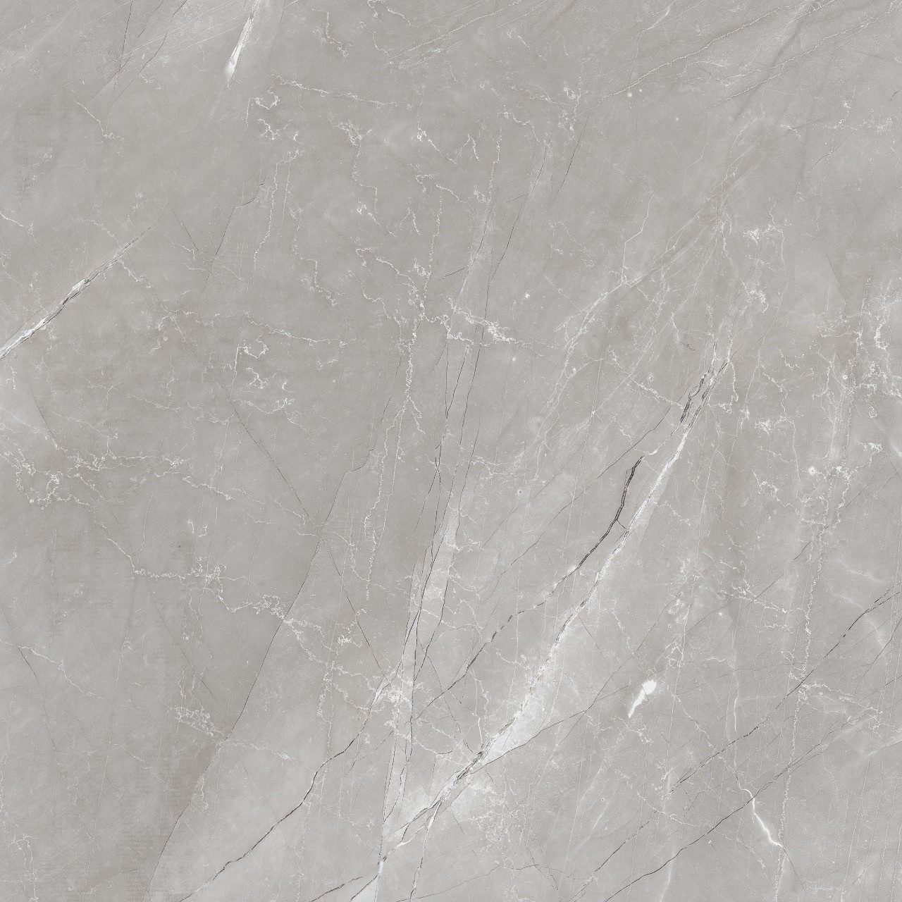 Wandfliese 1 Paket (1,44 m) Плитка VENEZIA GREY (60 × 60 cm), grau, Steinoptik, poliert/matt/hard matt, Fußboden Innen Im Haus Wand Bodenbelag