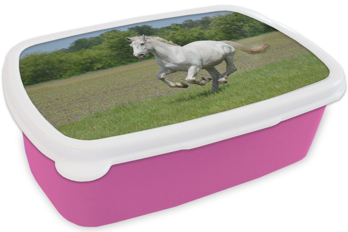 - Erwachsene, - MuchoWow Brotbox Brotdose Lunchbox rosa Kinder, Kunststoff, Kunststoff Mädchen, Pferde Natur Weiß, (2-tlg), für Snackbox,