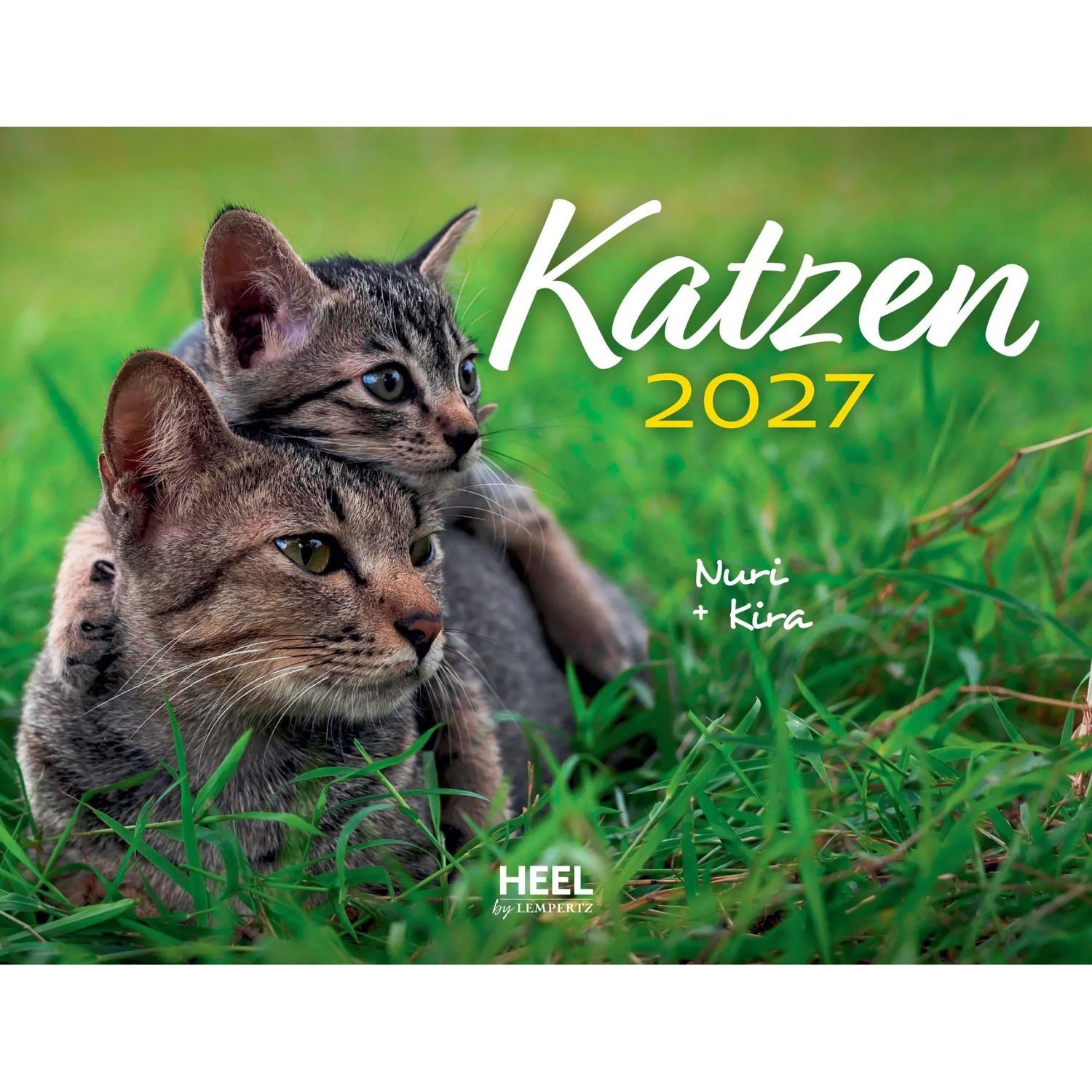 Edition Lempertz Wandkalender Katzen 2027 Eintragkalender