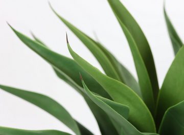 Kunstpflanze Künstliche Agave im Topf Pflanze Aloe Vera Sansevieria, I.GE.A., Höhe 70 cm, Grünpflanze Zimmerpflanze Palme