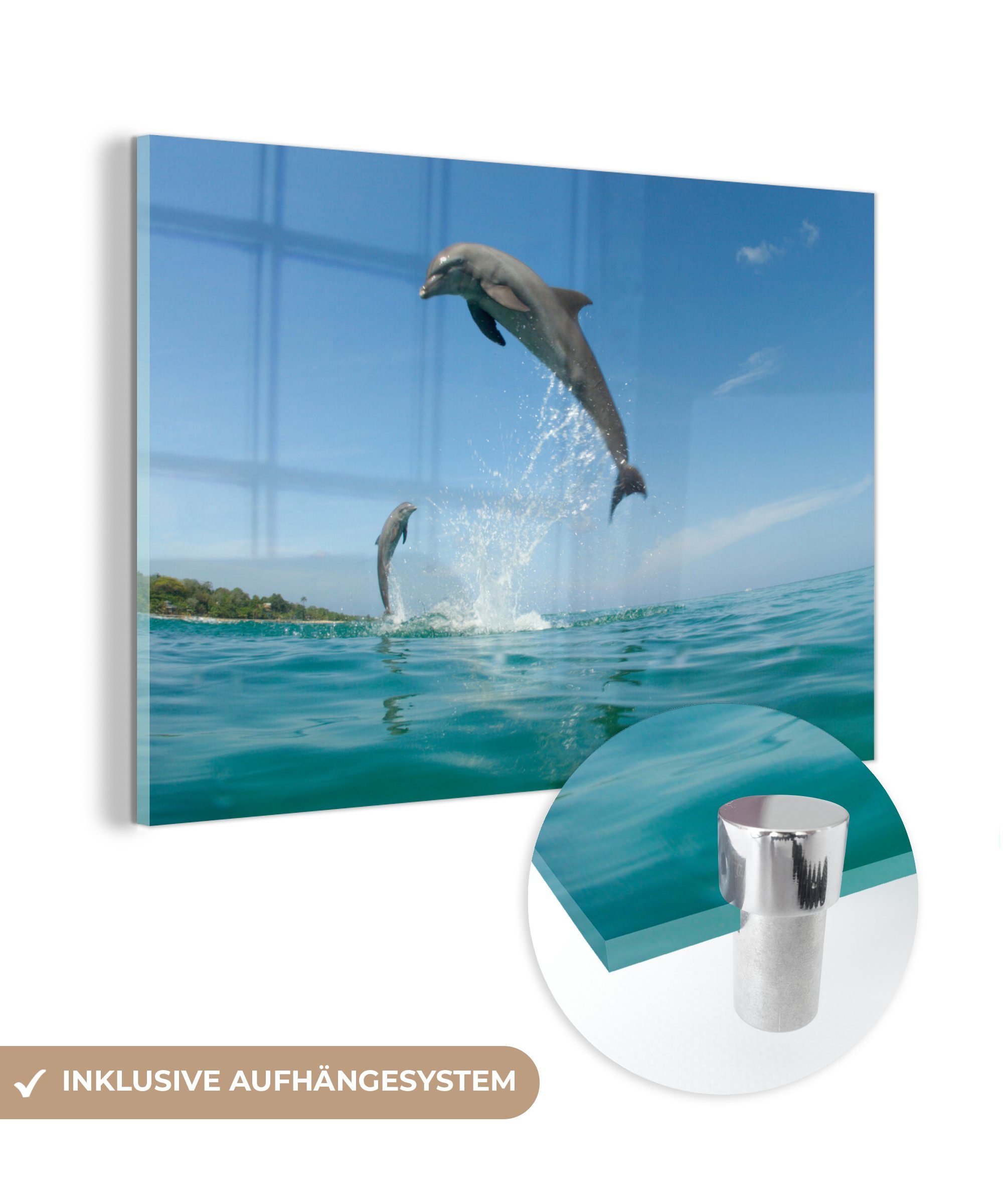 MuchoWow Acrylglasbild Delfin hoch über der Wasseroberfläche, (1 St), Acrylglasbilder Wohnzimmer & Schlafzimmer