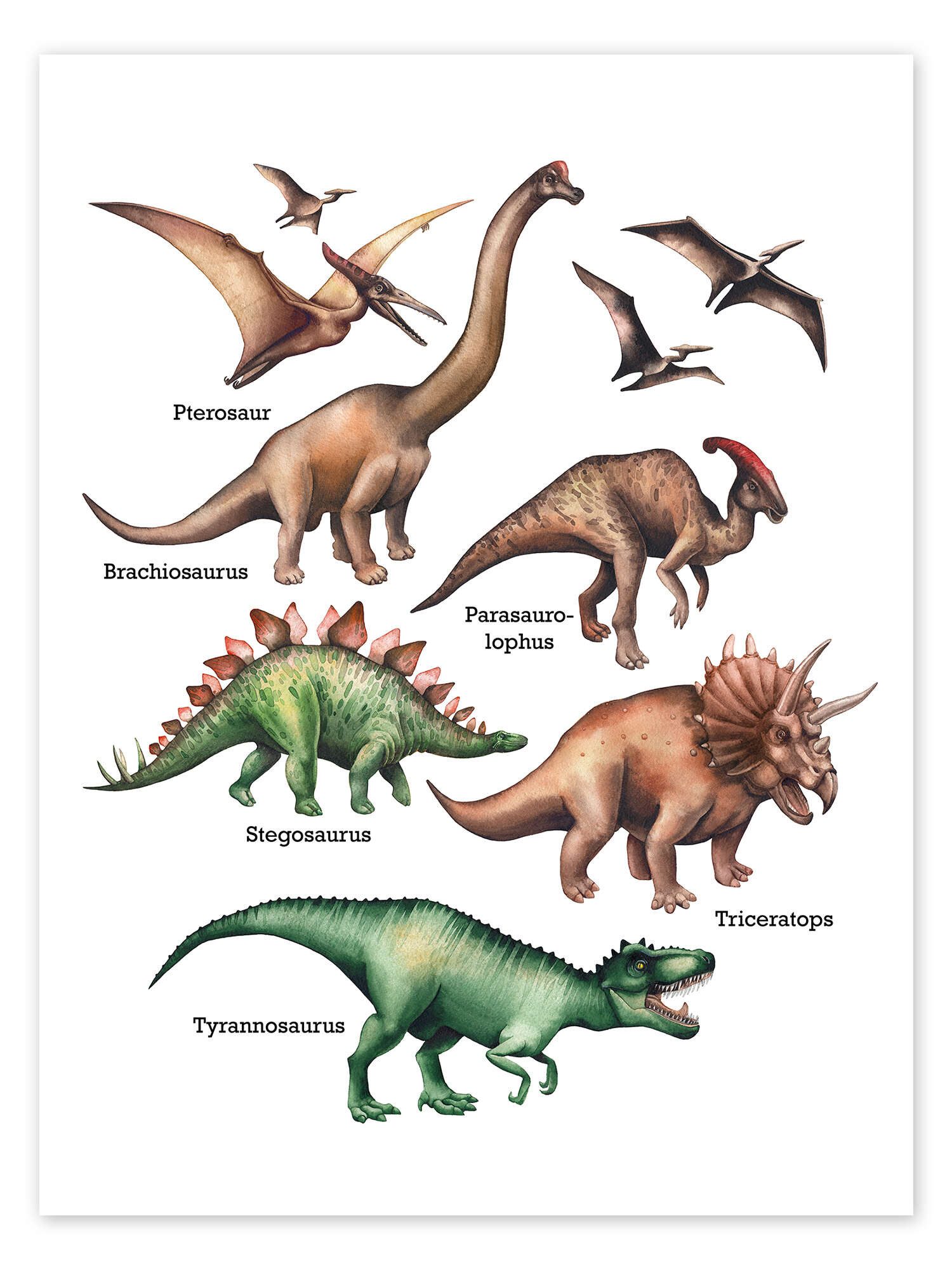 Posterlounge Wandbild Die Namen der Dinosaurier, Editors Choice, erhältlich als Poster, Leinwandbild, Wandsticker oder Acrylglasbild