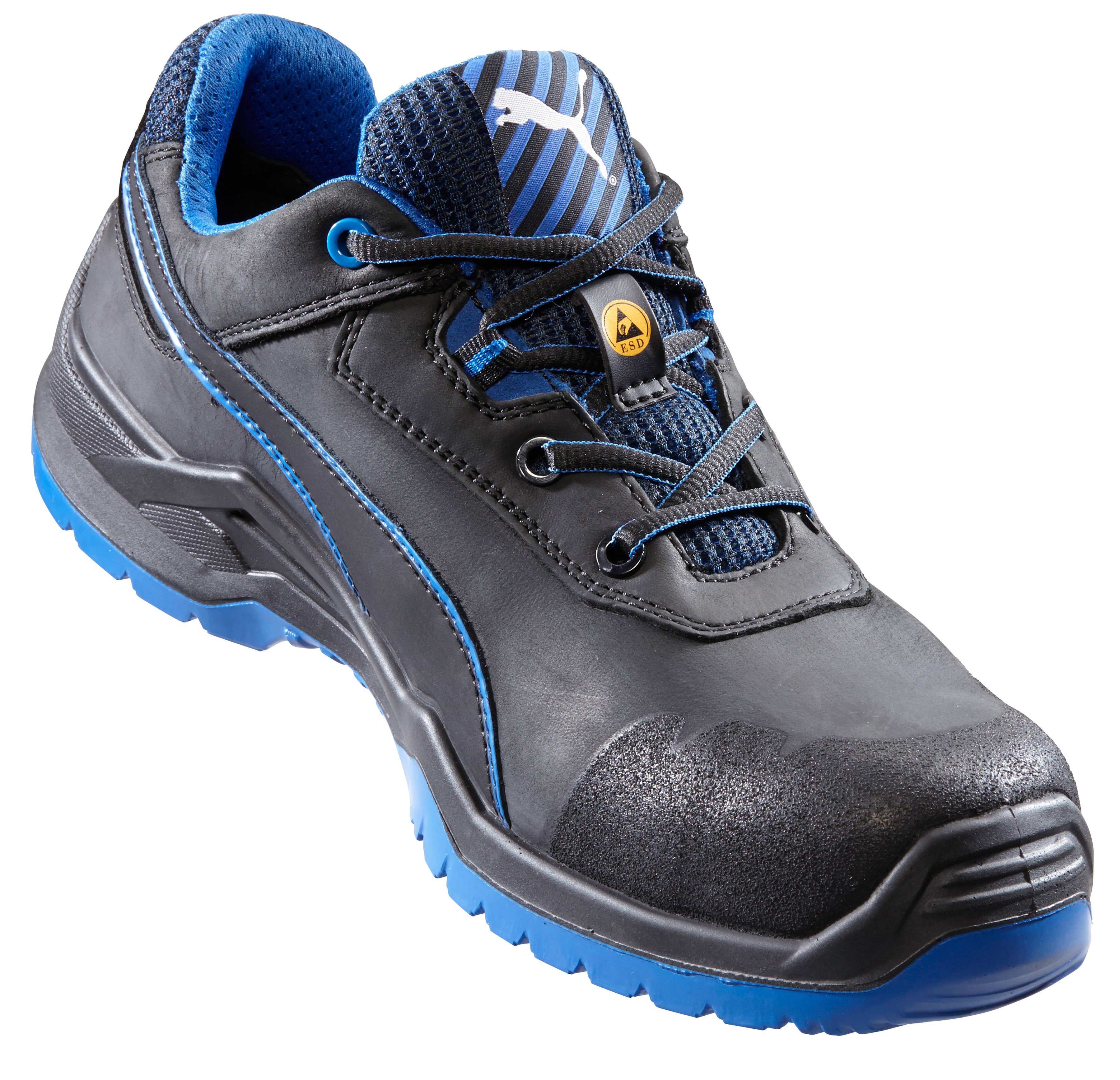 puma argon blue low