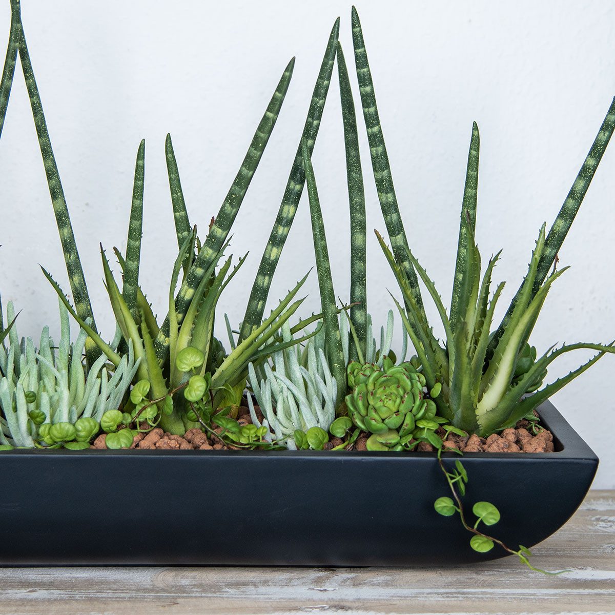 Kunstkaktus Sukkulente Echeveria künstlich Grün Deko günstig online kaufen