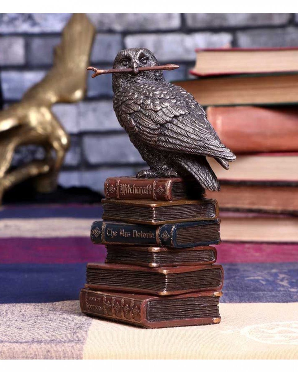 Bücherstapel Zauber auf 14cm Dekofigur Horror-Shop Eule