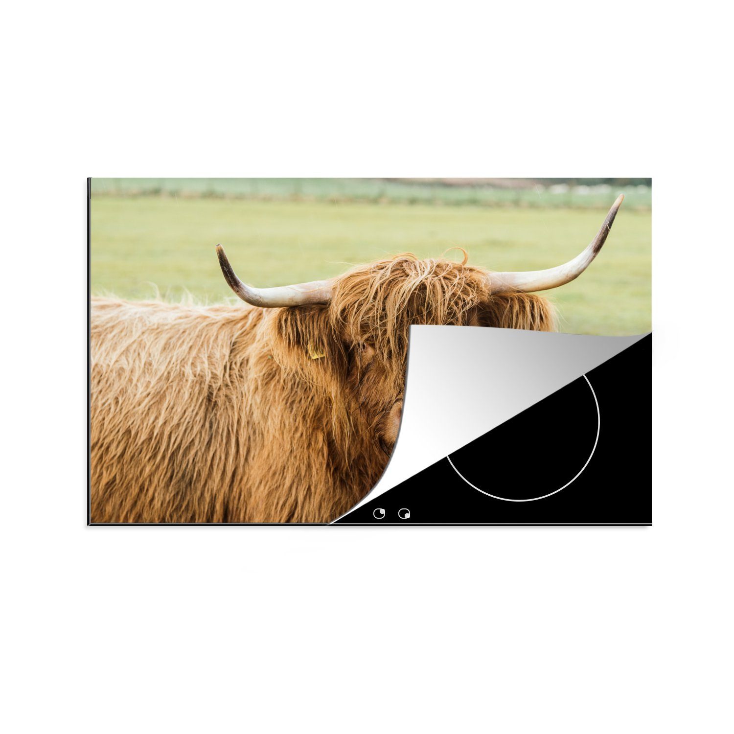 MuchoWow Herdblende-/Abdeckplatte Schottischer Highlander - Horn - Gras, Vinyl, (1 tlg), 81x52 cm, Induktionskochfeld Schutz für die küche, Ceranfeldabdeckung