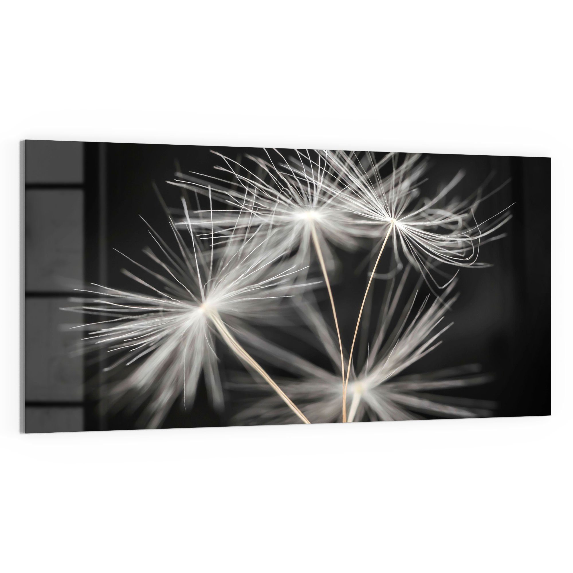 DEQORI Glasbild 'Samen der Pusteblume', 'Samen günstig online kaufen