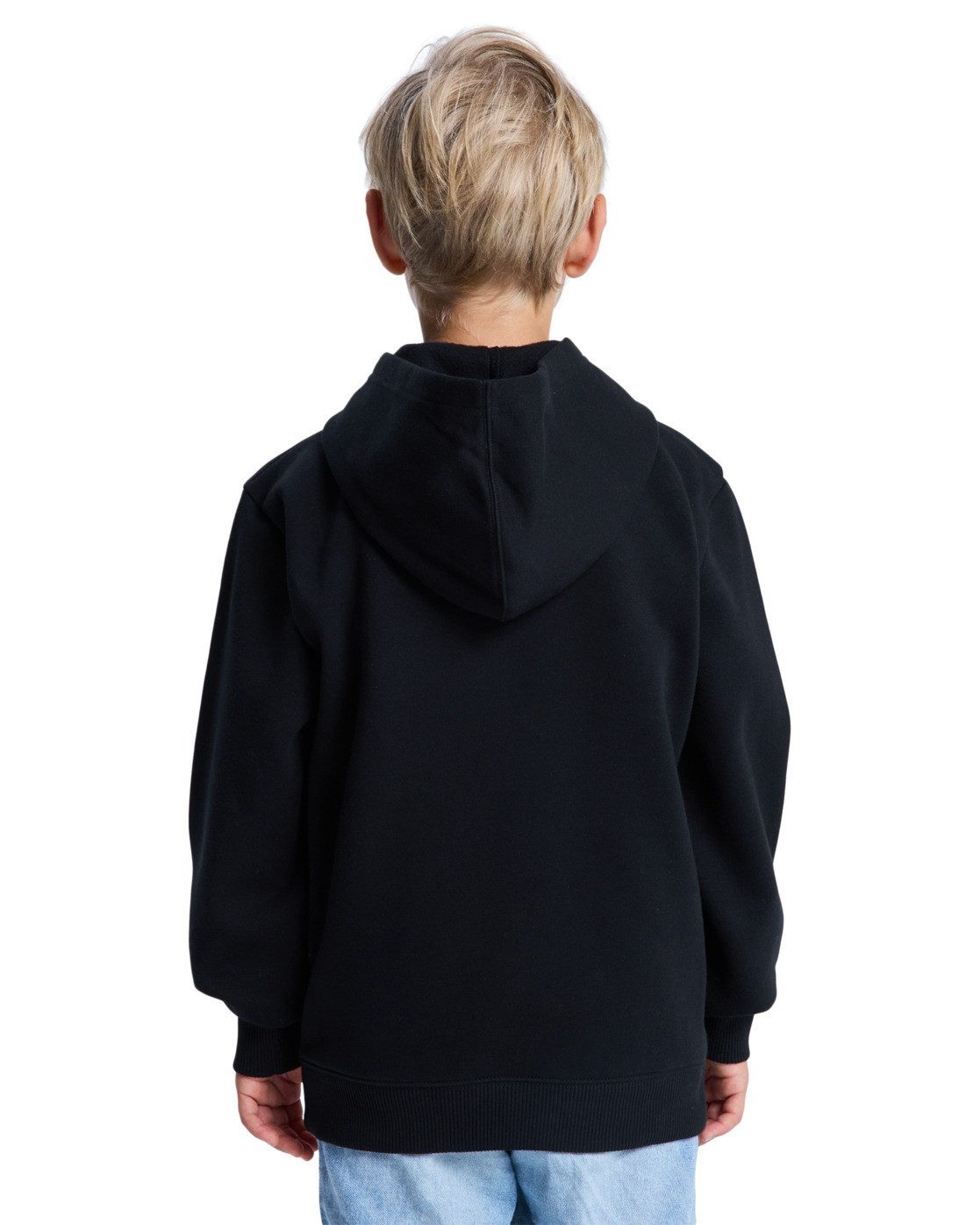 DC Shoes Hoodie DC Star Filled