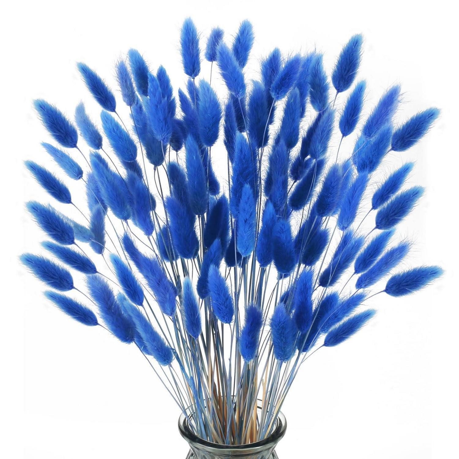 Trockenblume Trockenblumen Pampasgras Blau 120 Stück, LuxusKollektion, Höhe 1 cm