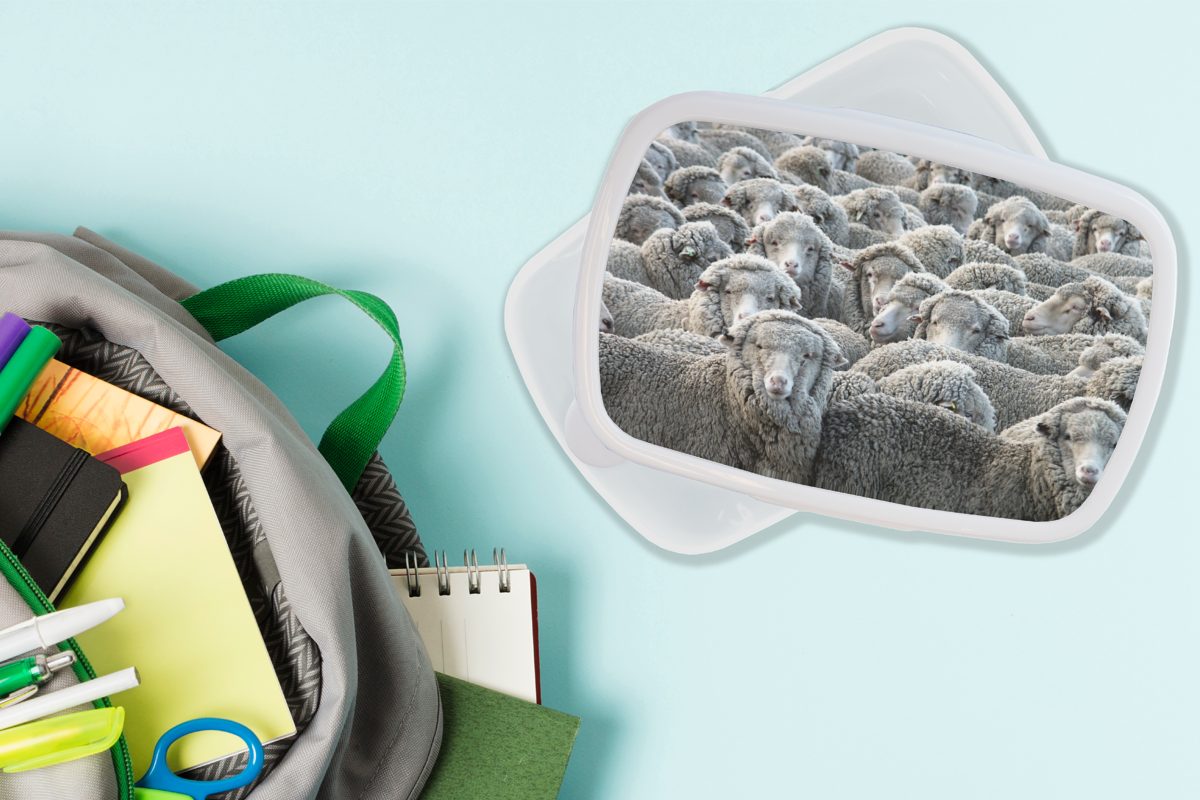 Mädchen für MuchoWow und Schafsfell, für Brotbox Tiere Jungs (2-tlg), Kinder - weiß Lunchbox - Schafe und Erwachsene, Brotdose, Kunststoff,