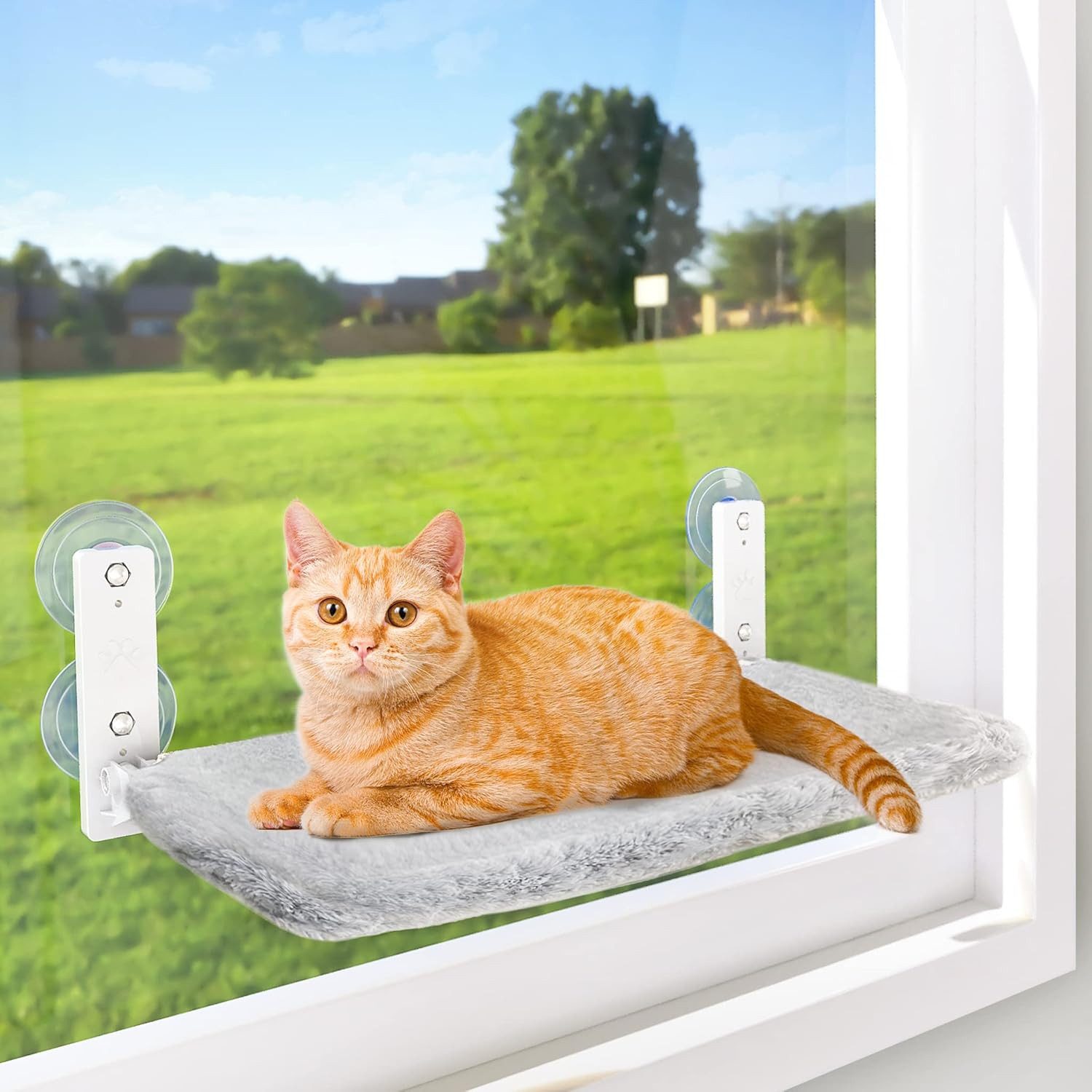 Refined Living Katzen-Hängematte Fensterhängematte Katze, Katzenfensterliege,Katzenhängematte Saugnäpfe, 60,5L x 30B x 17,5H cm, faltbares Katzenbett, Katzenfensterbank Hängematte, mit 4 stabilen Saugnäpfen, Fensterliege Katze, Kletterleiter Katzen, Katzenbett Fenster, wendbarer Bezug Katze, platzsparend, Stabil & langlebig,Tragkraft bis 13,6 kg, abnehmbar & waschbar