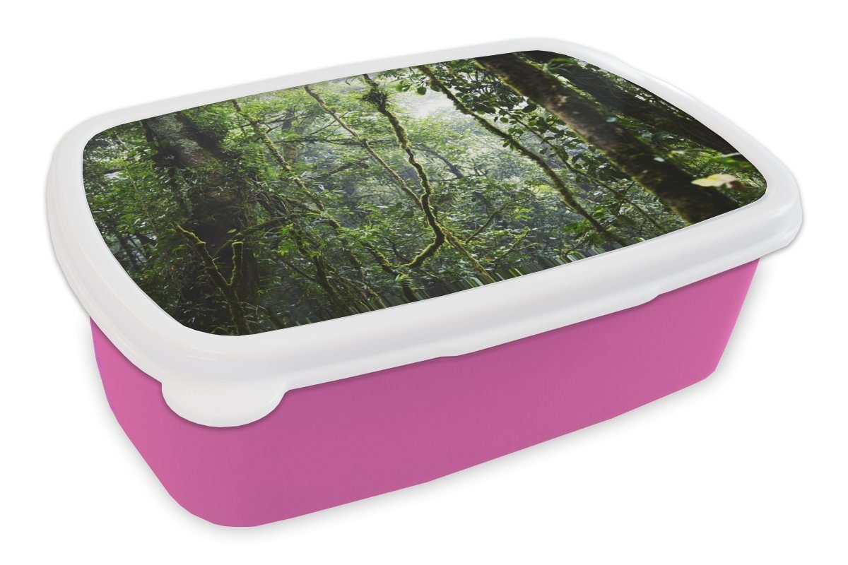 Snackbox, Regenwald, Tropischer Kunststoff, Kinder, Brotdose Erwachsene, Lunchbox rosa Mädchen, für Brotbox (2-tlg), Kunststoff MuchoWow