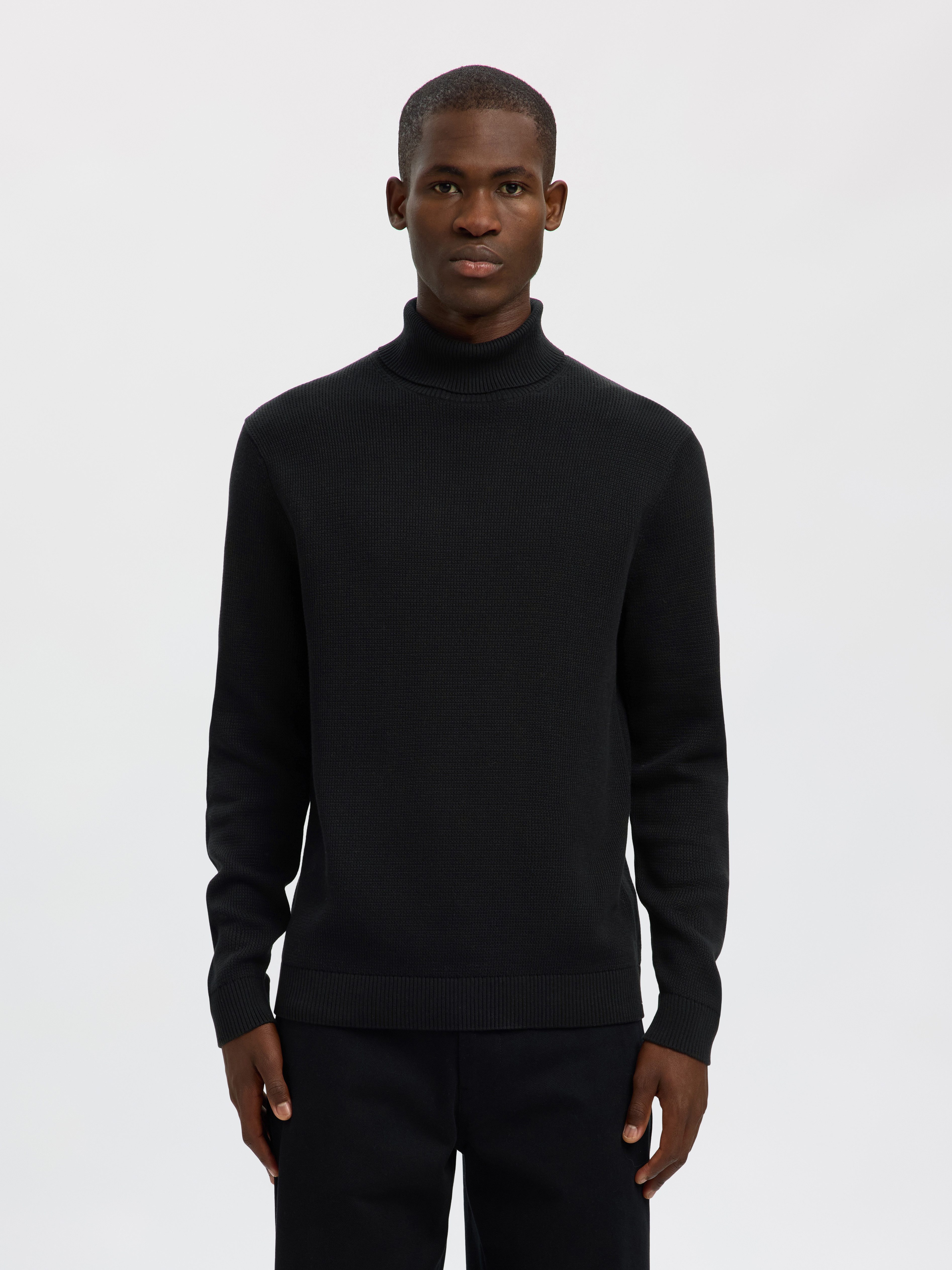 Selected Rollkragenpullover SLHDANE LS KNIT STRUCTURE ROLL NECK NOOS