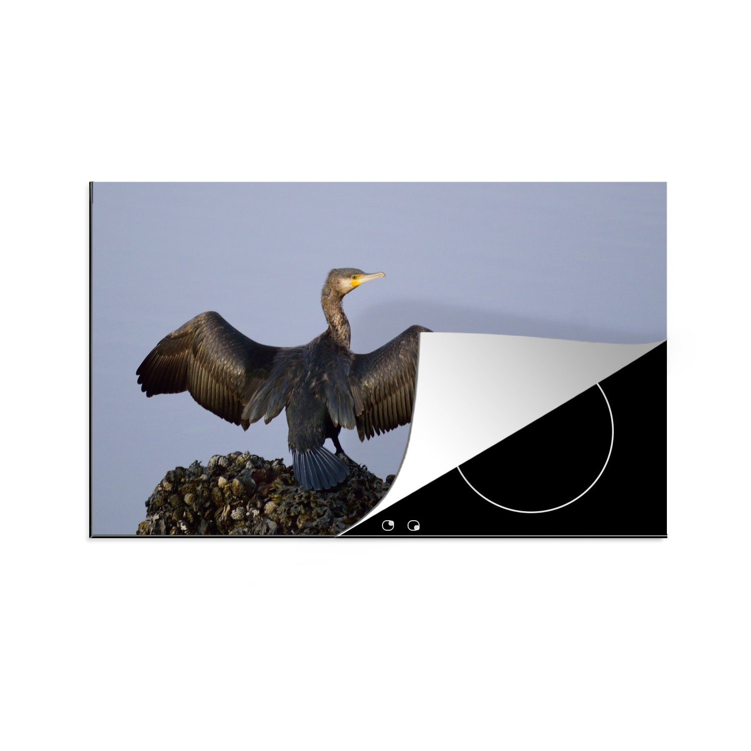 MuchoWow Herdblende-/Abdeckplatte Schwarzhalskormoran breitet seine Flügel aus, Vinyl, (1 tlg), 83x51 cm, Ceranfeldabdeckung, Arbeitsplatte für küche