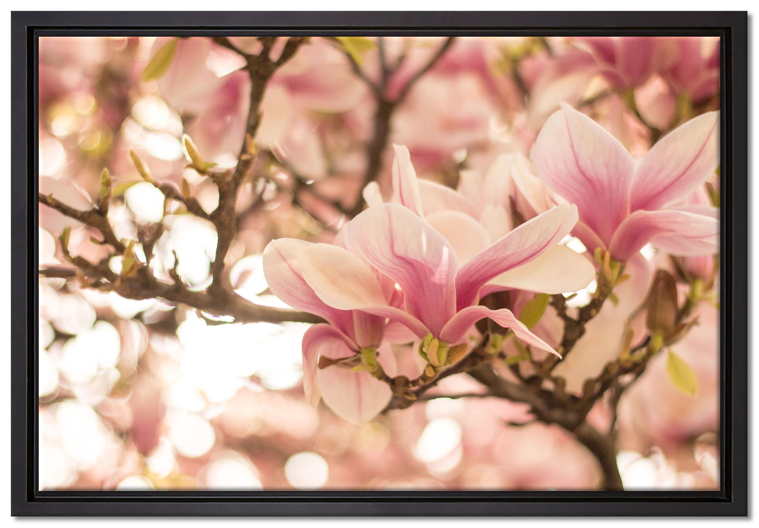 Pixxprint Leinwandbild Rosa Magnolienblüten im Frühling, Wanddekoration (1 St), Leinwandbild fertig bespannt, in einem Schattenfugen-Bilderrahmen gefasst, inkl. Zackenaufhänger