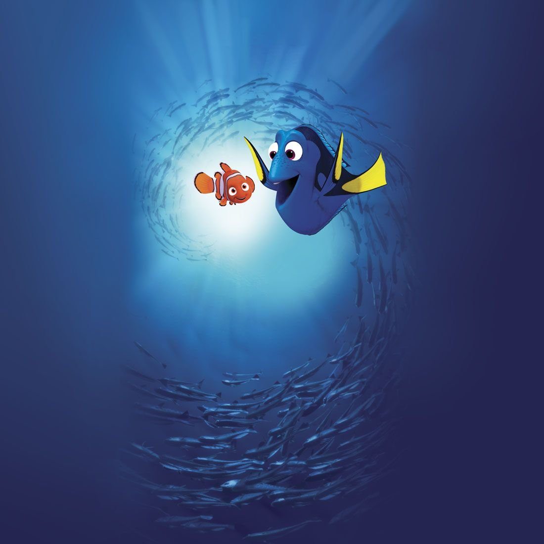 Cherokee Funktionsbluse bedruckter Disney Kasack & Kasack Damen "Dory mit Motiv Nemo" Bunt