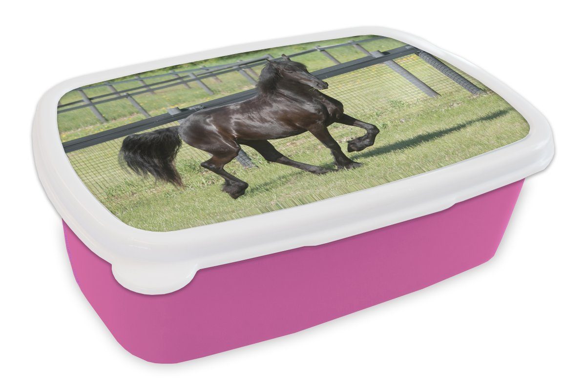 Brotbox Galopp, Snackbox, Mädchen, Erwachsene, Kunststoff, für Brotdose MuchoWow Friesisches Lunchbox rosa (2-tlg), Kunststoff im Kinder, Pferd
