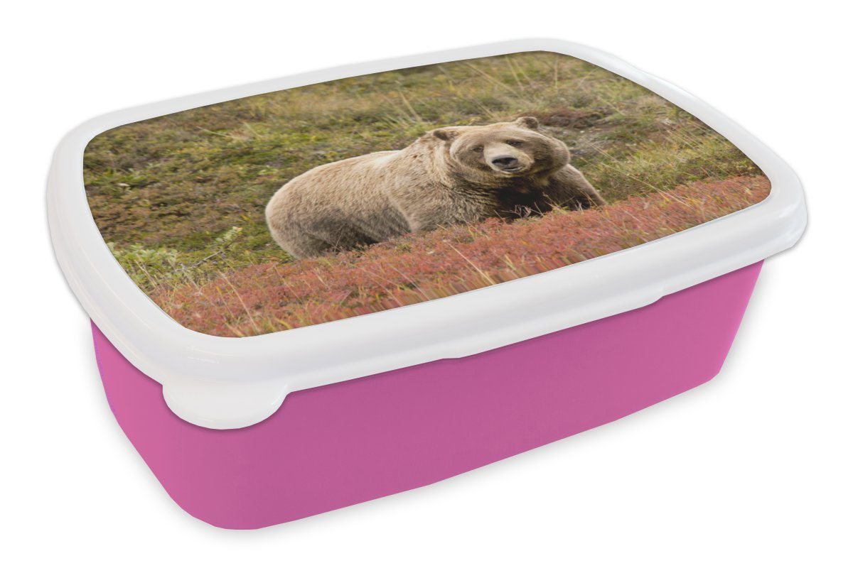 MuchoWow Lunchbox Bär - Heidekraut - Grizzly, Kunststoff, (2-tlg), Brotbox für Erwachsene, Brotdose Kinder, Snackbox, Mädchen, Kunststoff rosa