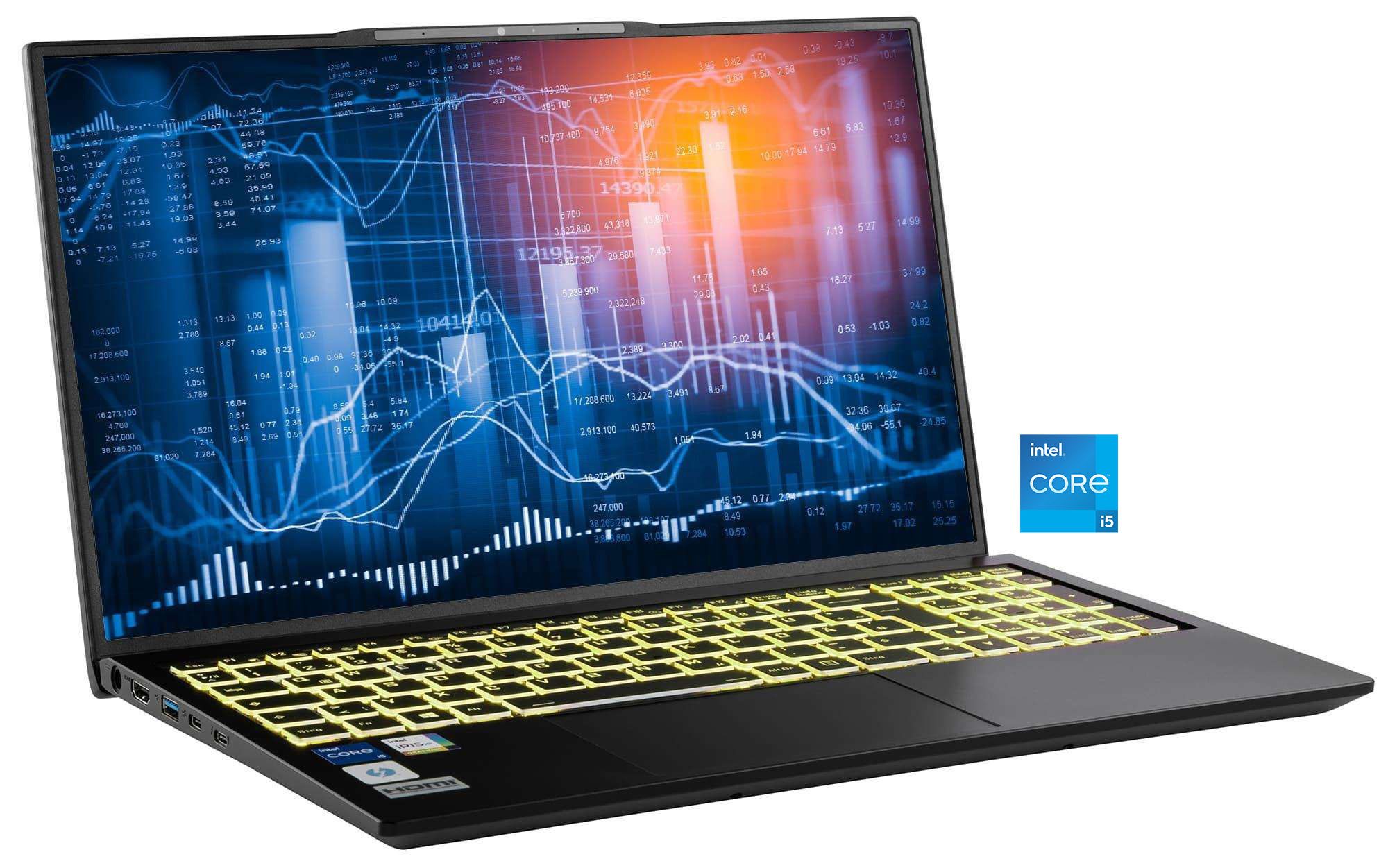 CAPTIVA Business/Office I10-1440GE Business-Notebook (43,94 cm/17,3 Zoll, Intel Core i5 1335U, Iris Xe Graphics, 64 GB, 1000 GB SSD)